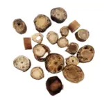 Cow Tail - Oxtail Slices (10 packs x 100g) - Image 2