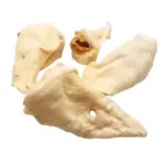 IMPERFECT Beef Ears (LESS THAN PERFECT SHAPE AND COLOR!)  (20pc)