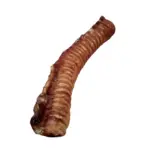 Beef Trachea - 12" (12 pc) - Image 4