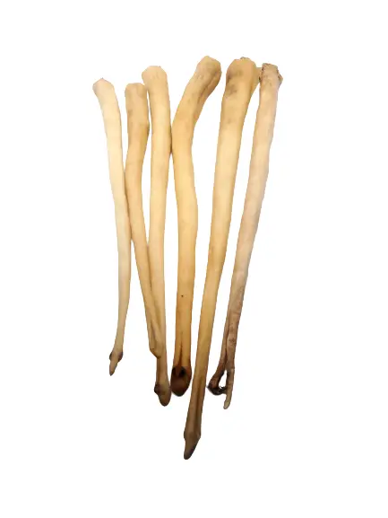 20230701_173823-removebg-preview.webp 18-23" - Cow Tail - Whole Oxtail (10 pc) - Image 1