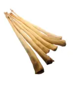 18-23" - Cow Tail - Whole Oxtail (10 pc) - Image 3