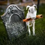 6"- Braided Beef Collagen Stick Brown/Natural (20pc) - Image 3