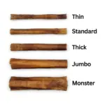 6"- Bully Stick - THIN Low Odour - Pizzles (55 pc) - Image 3