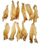 Goat Ears (50pc) - Image 3
