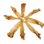 Goat Ears (50pc) - Image 2
