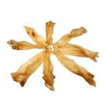 Goat Ears (50pc) - Image 5