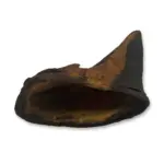 SMOKED Beef Hooves (Beef Clogs) - Canadian Beef (50pc/case) - Image 2