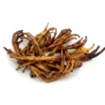 Chicken Feet - Nail Free LARGE (20pc/pack x 2 packs)