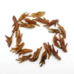 Chicken Feet - (20pc/pack ~ 200g x 5 packs)