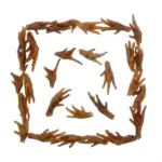 Chicken Feet - (20pc/pack ~ 200g x 5 packs) - Image 3