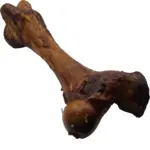 SMOKED Jumbo Beef Dino Bone - Canadian Beef (5 pc) - Image 2