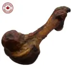 SMOKED Jumbo Beef Dino Bone - Canadian Beef (5 pc) - Image 4