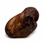 SMOKED Large Beef Knuckle - Canadian Beef (10 pc) - Image 5