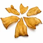 Buffalo Ear Plane (30pc pack)