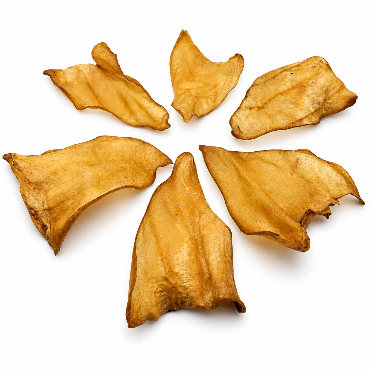 Buffalo Ears - Plane - 4 Buffalo Ear Plane (30pc pack) - Image 1